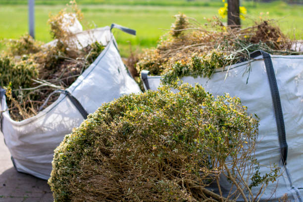 Best Same-Day Junk Removal  in Cabot, AR